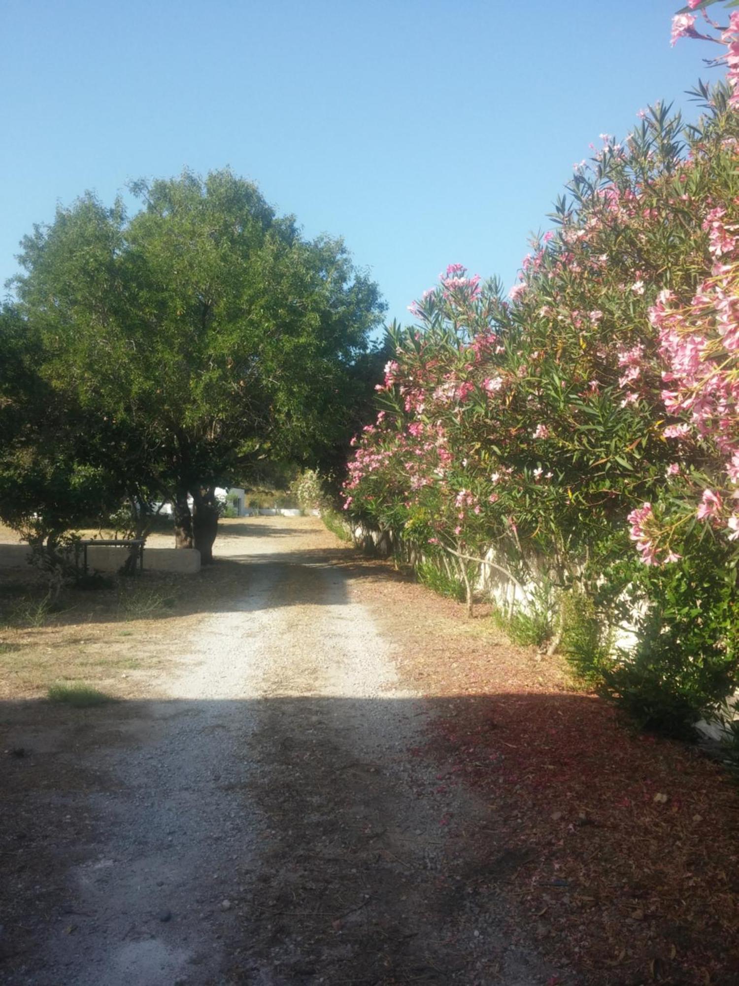 Ζini 2 Kéfalos Exterior foto