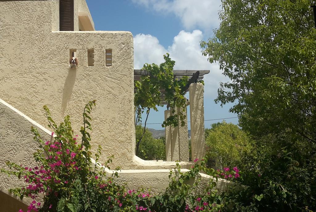 Ζini 2 Kéfalos Exterior foto